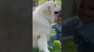 Child Hugging Large Dog in Backyard 🐕❤️