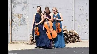 Beethoven String Trio Op. 9, No. 2, 2nd Movement: The Amicus Trio