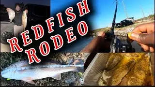 Kast, Katch, Klean, & Kook (Redfish Edition) #fishing #catchandcook #fishingvideo 
