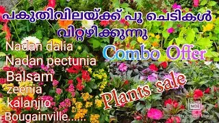 പകുതിവിലയിൽ ചെടികൾ വിറ്റഴിക്കുന്നു # plants sale# combo offer# flowering plants#online sale#