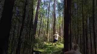 слон и моська часть1 #грибалка #юмор
