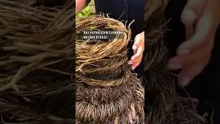 Neues Leben f&uuml;r altes Holz