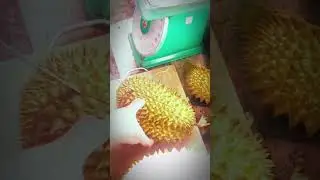 Amazing Durian Peeling Skills at the Market! 😲🌟 #Shorts