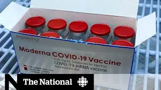 Moderna delays and COVAX doses add to Canada&rsquo;s vaccine rollercoaster