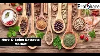 Herb & Spice Extracts Market