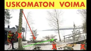 Stalpen, parasta mit&auml; rahalla saa. Pro Finnish Lumberjack And The Best Tree Jack. @Akujelppi