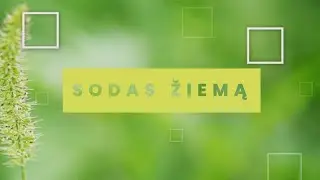 Sodininko pasaulis S1 E12 241019 29'45