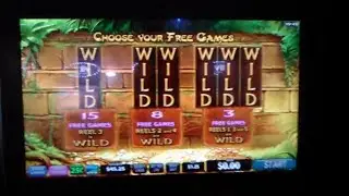 GOLDEN JUNGLE BONUS ON $1.25 BET WITH 3 STACKED WILD HAVE A LOOK AND SEE HOW I DID