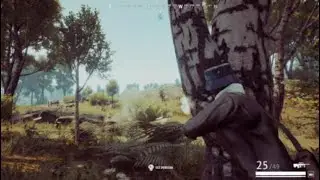vigor kills