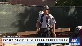 Can Trump administration take over LA wildfire discovery efforts?