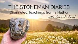Welcome to the Stoneman Diaries!  Who is Stoneman?