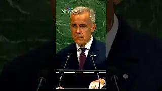 &lsquo;Canada recognizes the state of Palestine&rsquo;: PM Carney