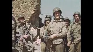 Brothers in Arms: The Most Decorated Units in the D-Day Operation