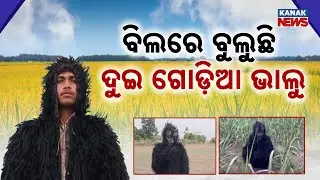 Special Report: Farmers Wear Bear Costumes To Guard Fields From Monkeys