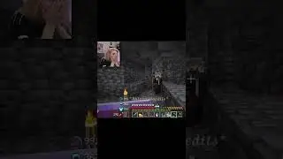 Debitor fliegt aus helden und Elina verliert 2.Herz #minecraft #helden #awesomeelina #debitor