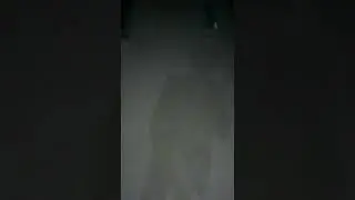 Paqildoq otish