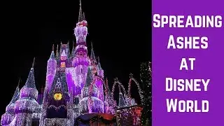 Is it Legal To Spread Someone's Ashes at Disney World?