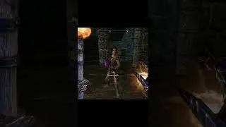 Skyrim ٠ Female Follower's Reaction to Healing Spell #skyrim