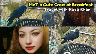 Breakfast With a Crow | An Unexpected Morning Adventure | Travel with Haya Khan