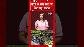 बच्चों से भरी कार पर गिरा पेड़, घायल | Panchkula | Heavy Rain | Haryana | Latest News