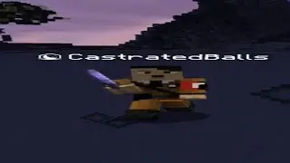 Minecraft usernames are crazy.mp4