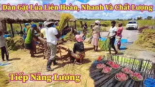Linh Philip ||  Rất Đông Người Dân Bản Mới BOTA Cùng Đến Tham Gia Gặt Lúa