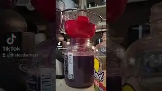 Processing Peppervine into jelly!