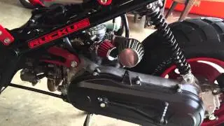 My 2013 Honda ruckus