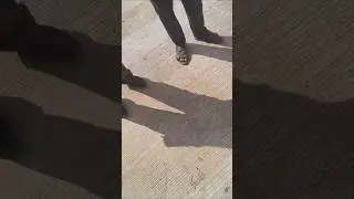 Pure Happiness in Simple Talk