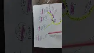 Ganga River System | Tributaries, Dams, Disputes & Facts | Indian Rivers Explained