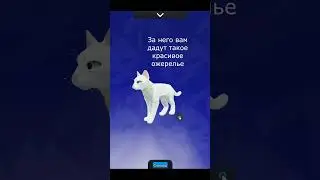Коды в Warrior Cats Ultimate Edition