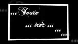 toate trec