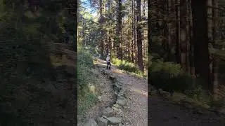 maclodganj to Gallu temple ..TRIUND.