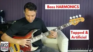 Tapped & Artificial HARMONICS On Bass Guitar (With Chord Progression)
