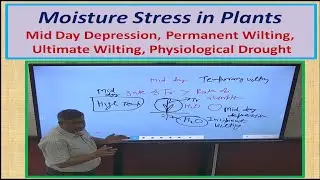 Moisture Stress in Plants