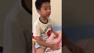 story of the blue bird family