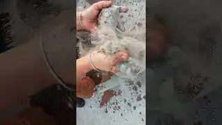 ocean sand crumbling #asmr #soft #dusty #relax #sandcrumbling #asmrsounds #oddlysatisfying