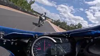 Collie Trakdayz Chasing Rob 03 12 23