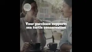 Discover Our Best-Selling Coffee