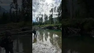 Fly Fishing Tight Water 🎯 | Casting Under Logs for Trout!  #fishing #outdoors