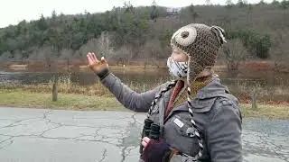 Eagle Watch Tips at Lackawaxen Boat Launch