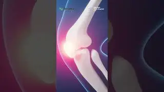 Cell Talk - dr. Jecky Chandra, M.Kes, Sp.OT(K), CIPS, AIFO-K #regenic #stemcell #orthopedics