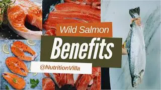 What are the benefits of consuming wild salmon? Top 10 Health Benefits of Eating wild Salmon