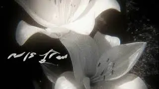 İlknur Cengiz - Alıştım (Serhat Kanat Remix)