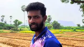 கேந்தி பூ சாகுபடி ❤️👍 #agriculture #villagelife #farming #vlog 