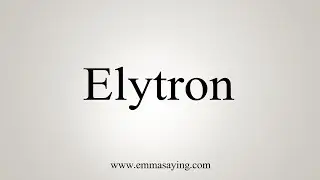 How To Say Elytron