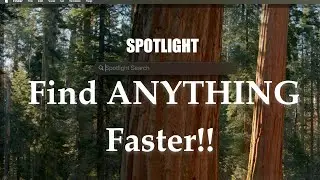 iOS Spotlight: Search Apps, Files, Web & More (Easy Tutorial)