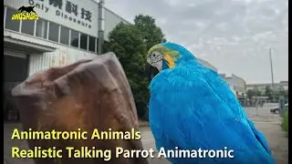 Realistic Talking Parrot Animatronic | Animatronic animals