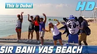 jabal Dana Beach |Dalma jatti| abu dhabi
