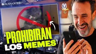 MORENA busca CASTIGAR creaci&oacute;n de MEMES con Ley Antistickers